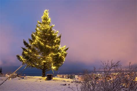 - Iceland 24 - Iceland Travel and Info Guide : Christmas in Iceland ...