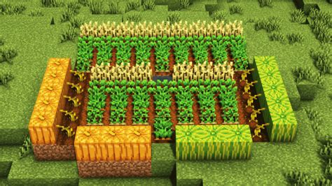 Ultimate Minecraft Crop Farming Guide (1.19) Complete Guide (2023)