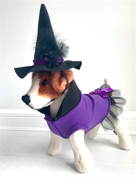 Witch Costume Dog Halloween Costume Dog Witch Costume by | Etsy