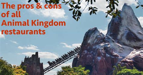 Pros and Cons for All Animal Kingdom Restaurants - WDW Prep School