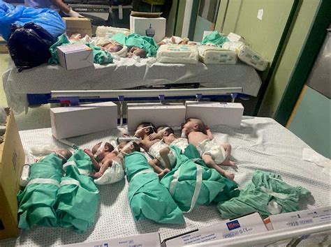 Gazan doctors plead for help in saving premature babies at Al-Shifa ...