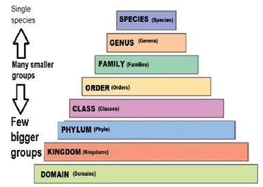 Using Scientific Names- Whole Earth Education