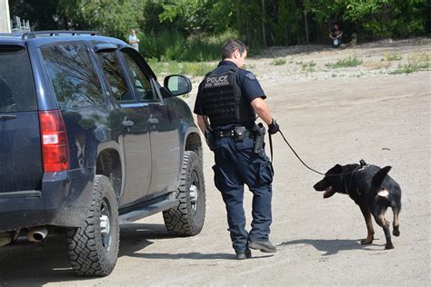 RCMP dogs track repeat offenders after break-in in Oliver - TimesChronicle.ca