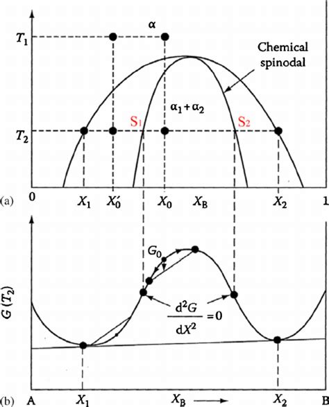 Schematic free energy diagram of the spinodal decomposition. ( a )... | Download Scientific Diagram