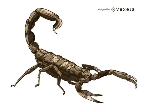 Scorpion Illustration Tattoo-Stil - Vektor Download