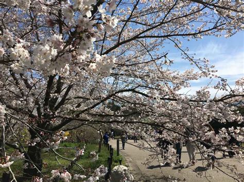 Kyoto Botanical Garden | ZUTTO KYOTO