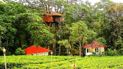 12 Beautiful Resorts in Vagamon for a Scenic Stay