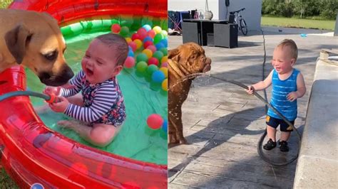 Funny Babies Laughing Hysterically at Dogs Compilation - YouTube