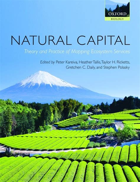 Natural Capital: Theory and Practice of Mapping Ecosystem Services | NHBS Academic ...