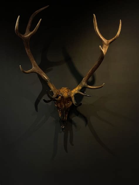 Metallized antlers of a red stag - BEAST Interiors