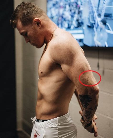 Canelo Álvarez's 14 Tattoos & Their Meanings - Body Art Guru