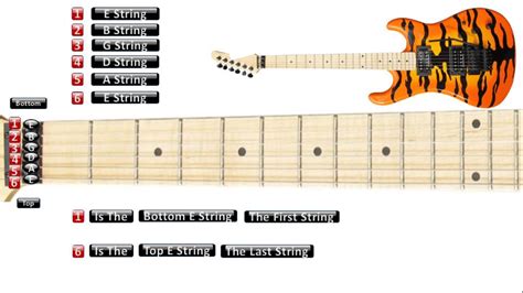 Why You Should Learn To Play The Guitar – Mozart Project