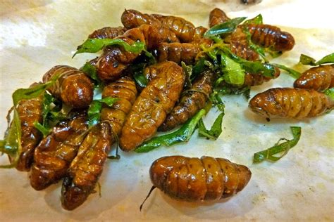 Eating Insects in Bangkok and Where to Find Them - Bangkok Unusual ...