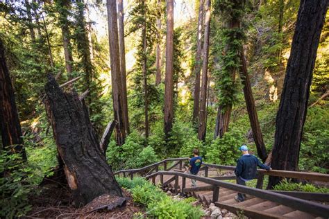 Big Sur CA trail Pfeiffer Falls reopens after repairs | Sacramento Bee