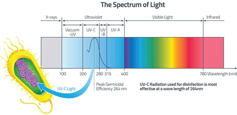 Knowledge Centre - Learn all about UV Disinfection