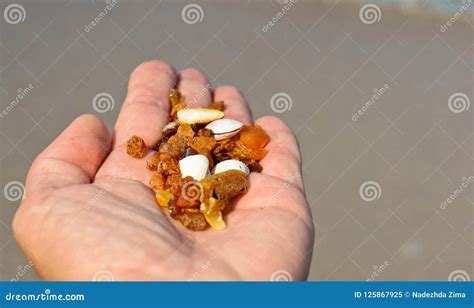 Stones of Amber of the Baltic Sea, Amber on a Palm Stock Image - Image ...