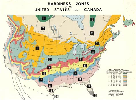 Mapping an “Indeterminable Quantity” - Arnold Arboretum | Arnold Arboretum