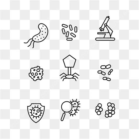 Virus Bacteria Vector Hd PNG Images, Microbiology Icons Set Elements With Virus Microscope And ...
