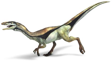 Compsognathus | Prehistoric animals, Dinosaur, Prehistoric