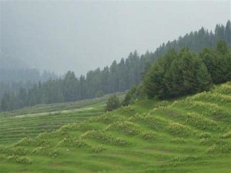 Gulmarg Meadows Resort in Gulmarg - See 2023 Prices