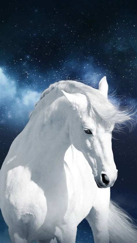 Download White horse Wallpaper by georgekev - fe - Free on ZEDGE™ now ...