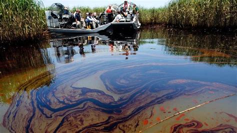 Fears realised as oil spill hits Louisiana marshes