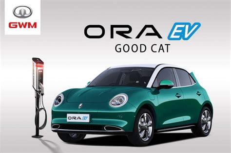 Is the Ora Good Cat EV worth the buy? - Automacha