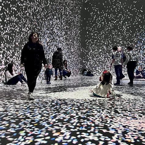 Why is immersive art so popular? — Sarah Ransome Art