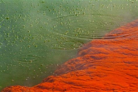 Champagne Pool, New Zealand | Amusing Planet