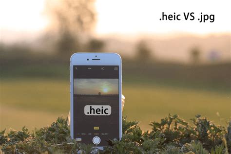 Get to Know More About HEIC and JPEG Image!-Free HEIC Converter