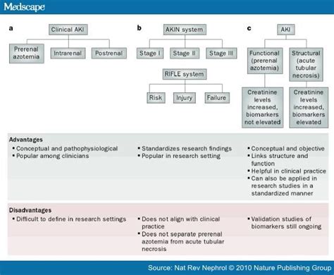 Acute Kidney Injury: Defining Prerenal Azotemia in Practice and Research