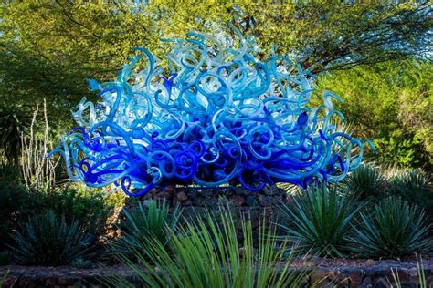 Chihuly Exhibit at Desert Botanical Gardens, Phoenix, Arizona ~ Blue Fiori Sun | Chihuly, Dale ...