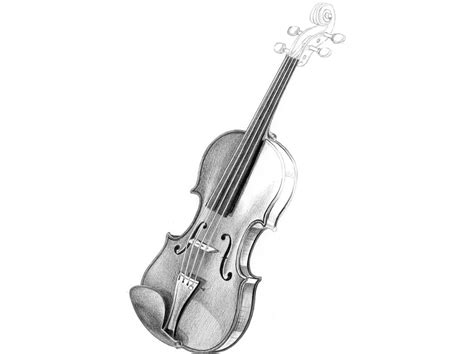 Realistic Violin Drawing