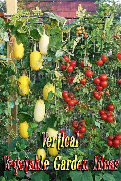 Vertical Vegetable Garden Ideas