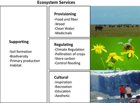 1 Four categories of ecosystem services as classified by the Millennium ...