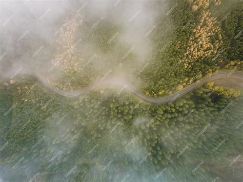 Premium Photo | Aerial top view of misty forest with road in the ...