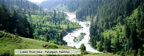 Patnitop Hill Station Tour, Jammu, India, Hills Station of Patnitop ...