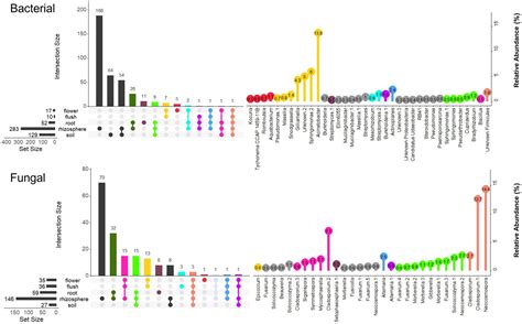 Frontiers | Microbiome diversity, composition and assembly in a California citrus orchard