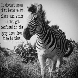 Funny Zebra Quotes. QuotesGram