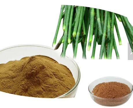 Horsetail Silica - Wholesale in Bulk - undersun