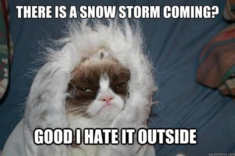 Meh | Blizzard Memes | POPSUGAR Tech Photo 3