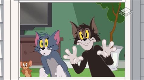 Tom & Jerry Mini Compilation