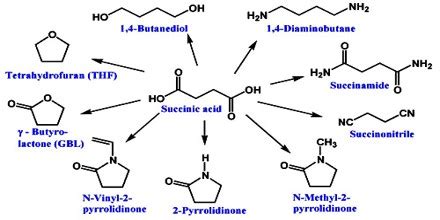 Succinic Acid - Assignment Point