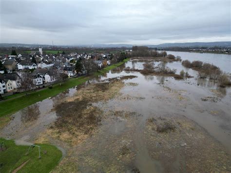 Hochwasser: Vor allem Rhein und Donau betroffen | WEB.DE