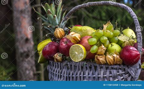 Tropical Fruits in a Basket Stock Photo - Image of drop, freshness ...