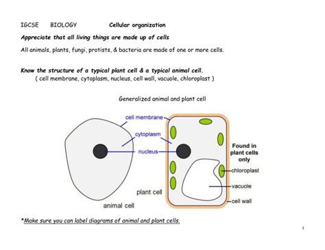 NOTES CELLULAR ORGANIZATION