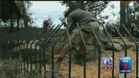 VIDEO: Crocodile attacks trainer in Australia - 6abc Philadelphia