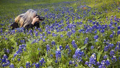 Texas bluebonnet season means great time for views, photos