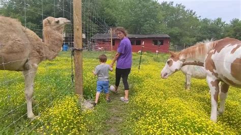 Funny Farm Petting Zoo expands with a location in Berlin, Maryland