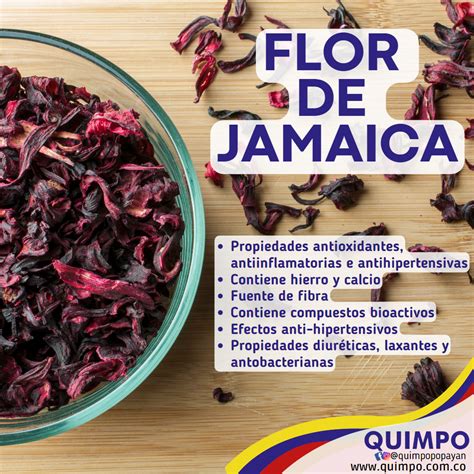 FLOR DE JAMAICA – Quimpo Popayán